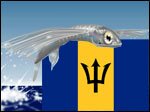 As bajan as flying fish